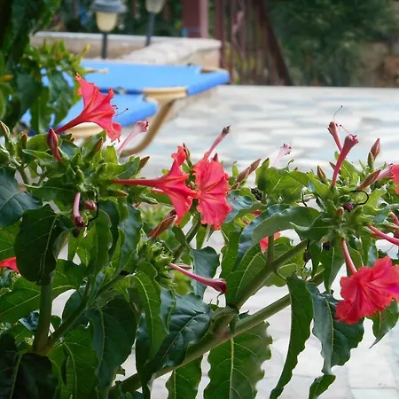 Kleoni Club Hotel apartamentowy Tolón