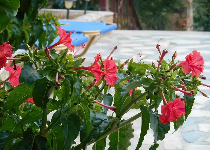 Kleoni Club 아파트호텔 Tolón